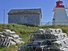 Neil's Harbor, Cape Breton Island, Nova Scotia