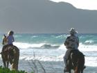 Cane Bay horseback