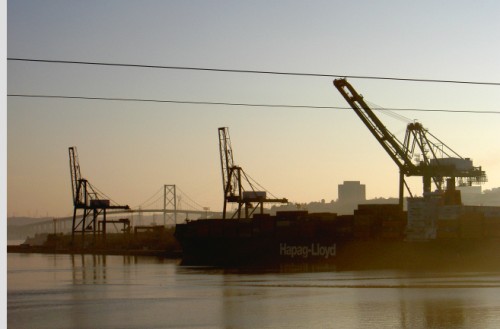 Morning, cranes in Halifax harbor