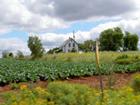 PEI farmland