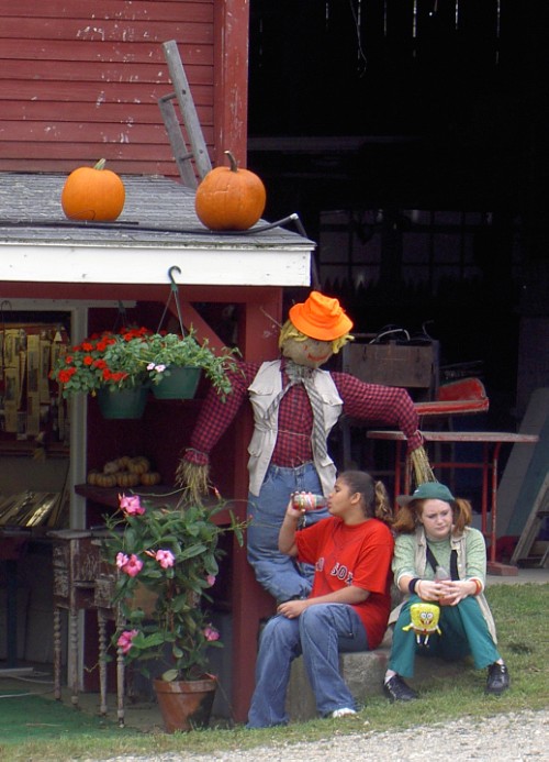 Farm stand, Framingham