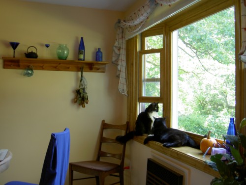 Newly redone kitchen with cats.