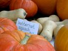 Butternut squash