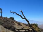 Silhouettes at lookout