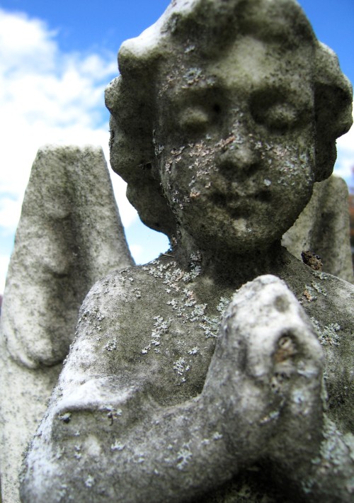 St Tarcisius, detail of lichens