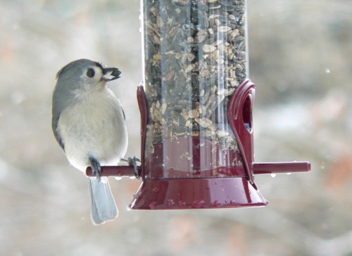 Could this guy be any cuter?