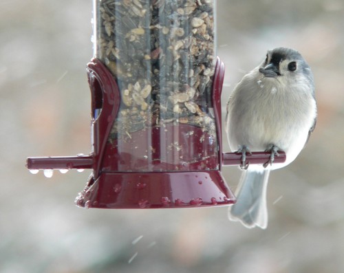 Another seed pose by the cutest.