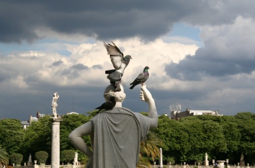 Luxembourg Royal Birds