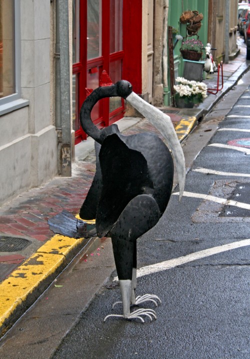 Bird for Sale, Normandy