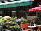 One Man in St Germain