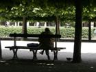 At the Park