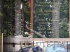 Le Lutetia Through the Glass