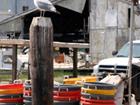 Crab Pots and Gull